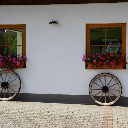 Ferienwohnungen Paukner Sankt Englmar Zewnętrze zdjęcie