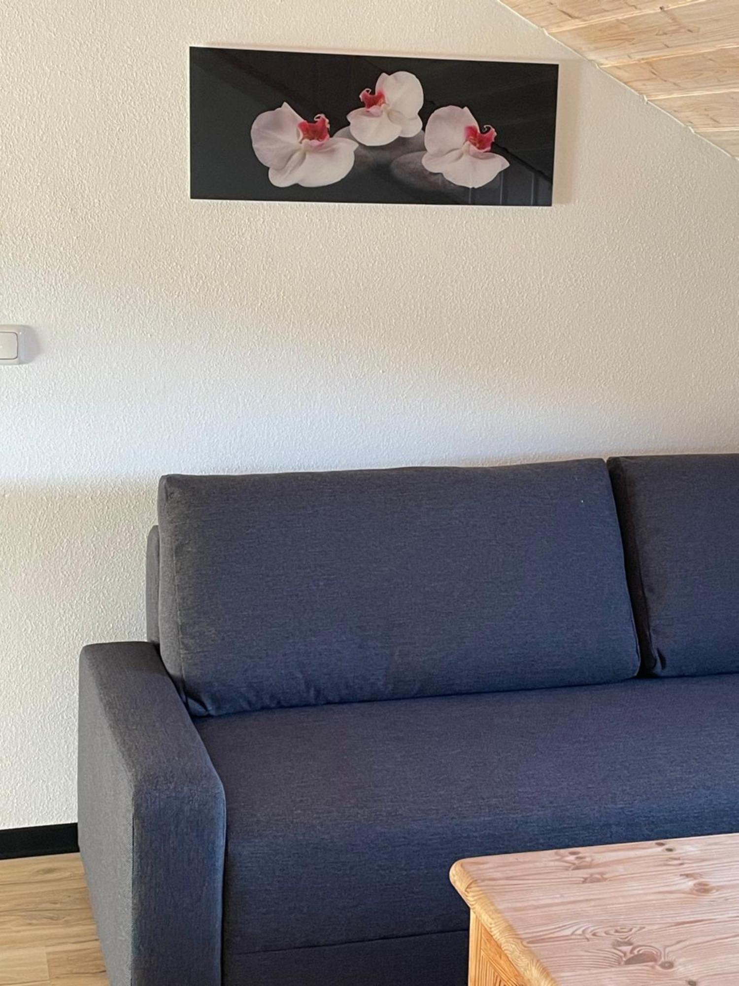 Paukner Apartment Sankt Englmar